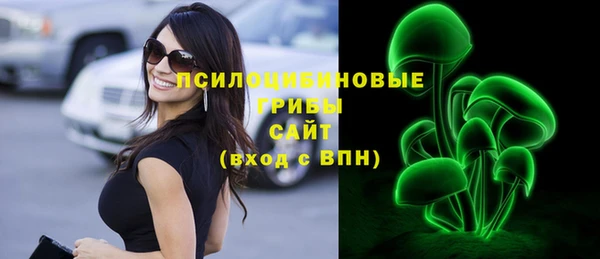 твердый Богородск