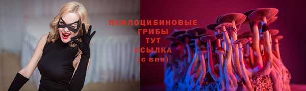 гидра Протвино