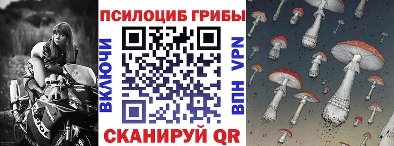 это какой сайт  цены   Дубна  Псилоцибиновые грибы MAGIC MUSHROOMS 